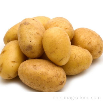 Frische Kartoffeln für den Export
